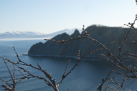 Весна однако....