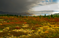 Сейчас начнется...