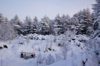Привал в зимней сказке