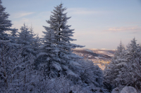 Зимняя сказка