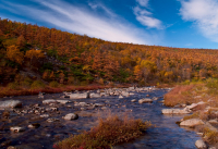 ...и умирает осенью природа, но как она красиво умирает...
