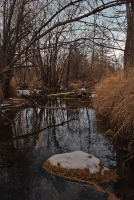 Печаль коричневой реки, унылые цвета…
