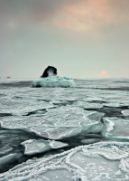 морозное утро