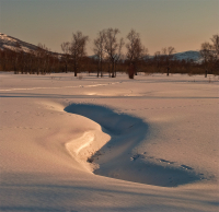 Запорошены поля и реки...
