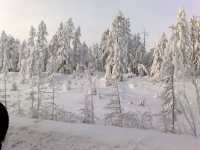 Прям как в "Морозко"