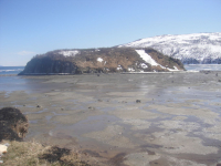 старая веселая