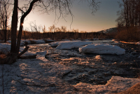 После долгого плена...