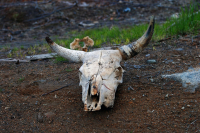 Время идет.....