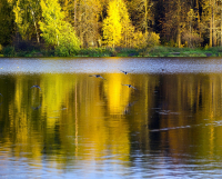 осенние зарисовки