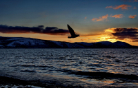 О спокойных вечерах...