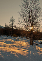 Зимняя зарисовка