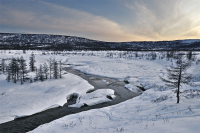 Стынет речка зимняя, зеркалом беды...