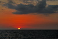 и еще один день...