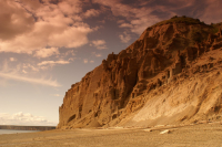 Родные берега