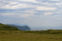 О дальних берегах