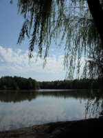 О лете прошло_2