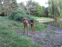 О лете прошлом_3