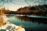 незамерзайка