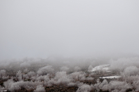 Весеннее утро