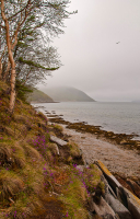 Там, за туманами ...