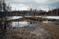 В разливе...