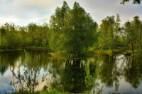 все то же болотце..