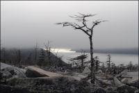 ...И я видел Нагайскую бухту..