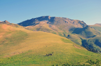 по дороге к облакам....