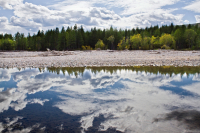 На берегу Олы