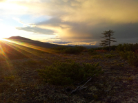 Напоследок...