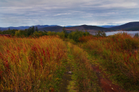 не май месяц