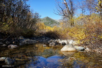 Осенние мотивы