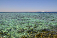 Красное море