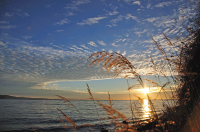 здравствуй Солнце