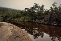 У излучины тихой реки