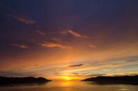 пурпурно алый