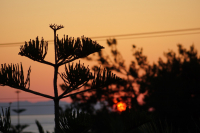 о. Крит - Греция