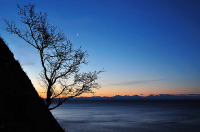 предрассветная