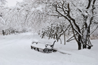 В зимнем парке царство сна...