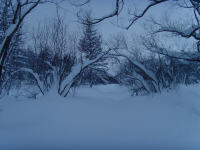 там чудеса...