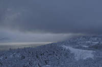 по дроге на Олу