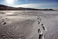 Холодное солнце пустыни