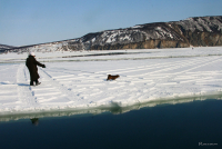Дама с собачкой. Магаданский вариант.