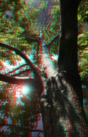 Стерео-анаглиф