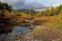 Альтернативное время года