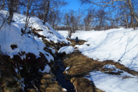 Термальный оазис среди зимы