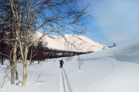 Навстречу солнцу, без дороги, бегу по снежнй целине...