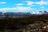 Небо, сопки и леса - мои лучшие друзья!