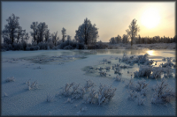 Ручей "НАледный"