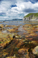 Бухта "Светлая"